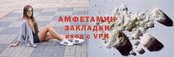 индика Заводоуковск