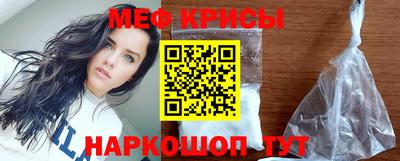 стаф Гатчина