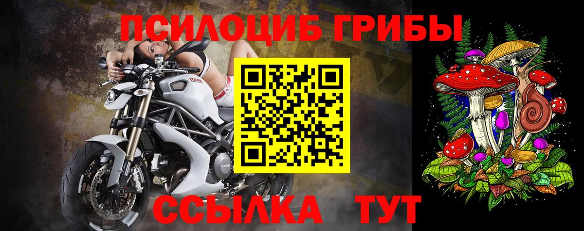 Псилоцибиновые грибы ЛСД  что такое   Миасс  Вход с VPN 