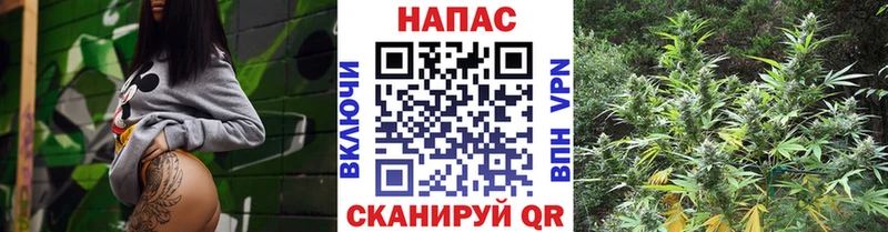 mega зеркало  Миасс  Каннабис гибрид  где купить наркоту 